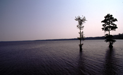 Great Dismal Swamp